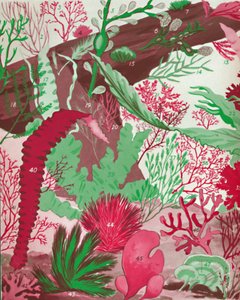 Una colección de más de cincuenta especies de algas rojas, verdes y marrones, 1935 de Unbekannt