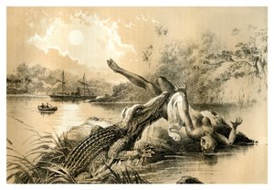 Un incidente espantoso, 1883 de Unbekannt