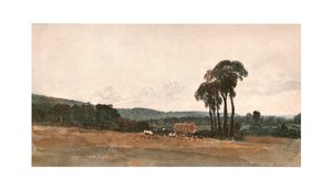 Una escena de cosecha