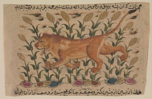 Un León, Folio de un Nuzhatnama-i ‘Ala’i disperso de Shahmardan ibn Abi’l Khayr, principios del siglo XVII de Unbekannt