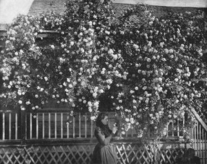 Un hogar adornado con rosas, California del Sur, EE.UU., c1900