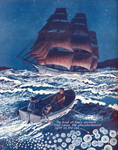 Un mar iluminado por luces nocturnas vivas, 1935 de Unbekannt