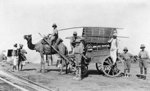 Un carro de camellos, India, 1916-1917
