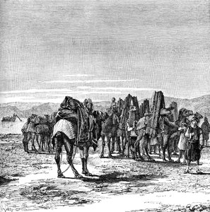 Una caravana en las orillas del Éufrates, 1895 de Unbekannt