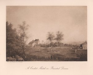 Un partido de cricket en Bansted Downs, Surrey, siglo XIX, 1912