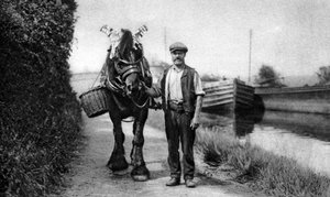 Un caballo tirando de una barcaza de canal