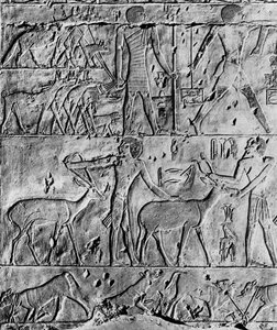 Escena de caza de la tumba de Ptahhotep, cerca de Saqqara, Egipto, c2650 a.C. 1936 de Unbekannt