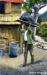 Un hombre camino al mercado para vender un cerdo, Jamaica, c. 1900s de Unbekannt