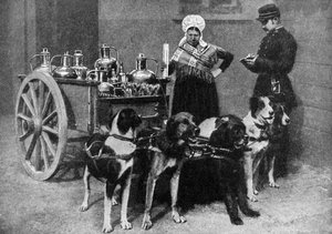 Una lechera con un inspector del gobierno, Bélgica, 1922