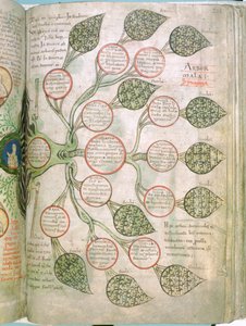 Una página del Liber Floridus, siglo XII