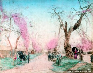 Un parque en primavera, Sendai, Prefectura de Miyagi, Japón de Unbekannt