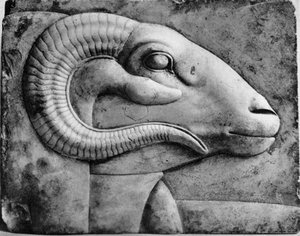 Cabeza de carnero, Egipto, 1936