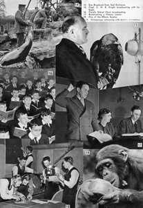Una visita a la BBC, 1937