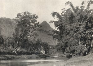 Adamspik von Gegend Maskeliya, 1926 de Unbekannt