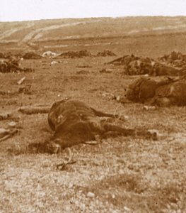Después de la carga, Beauséjour, norte de Francia, c1914-c1918 de Unbekannt