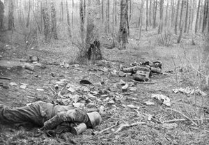 Secuelas de la lucha en el parque de Plessis-de-Roye, Picardía, Francia, 30 de marzo de 1918 de Unbekannt