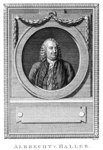 Albrecht von Haller, médico y científico suizo de Unbekannt