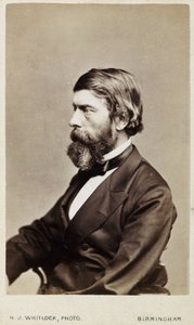 Alexander William Williamson, químico escocés, c 1865 de Unbekannt