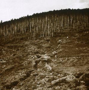 Alsacia, c1914-c1918 de Unbekannt