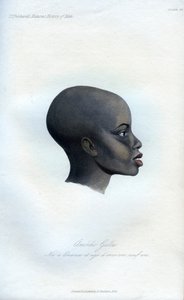 Amochi Galla, un retrato de un Galla, 1848