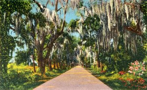 Una escena atractiva en la carretera en las Carolinas, 1942 de Unbekannt