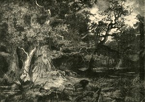 Un Viejo Bosque Alemán, 1890