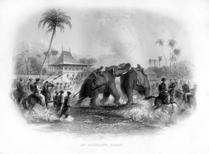 Una pelea de elefantes, India, siglo XIX de Unbekannt
