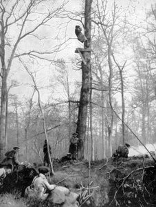 Un punto de observación, 1915