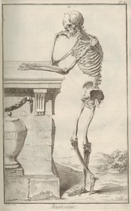 Anatomía. De la Encyclopédie de Denis Diderot y Jean Le Rond d