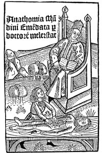 Demostración de anatomía, 1493 de Unbekannt
