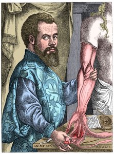 Andreas Vesalius, anatomista flamenco del siglo XVI
