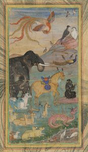 Animales y aves, siglo XVII de Unbekannt