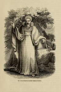 Archidruida en su traje judicial completo Del libro Old England: A Pictorial Museum, 1845 de Unbekannt