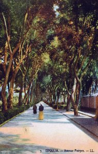 Avenida Poirpre, Ismailia, Egipto, c1900 de Unbekannt