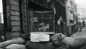 Barricada en la Rue de Chateaudun, liberación de París, agosto de 1944 de Unbekannt