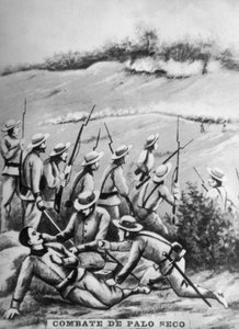 Batalla de Palo Seco de Unbekannt