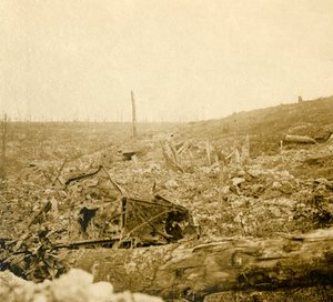Campo de batalla, Bezonvaux, Verdún, norte de Francia de Unbekannt
