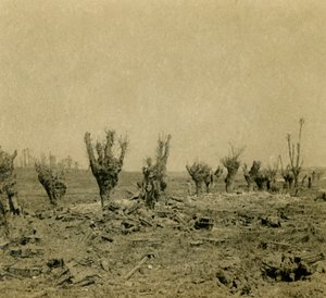Campo de batalla, Maurepas, norte de Francia de Unbekannt