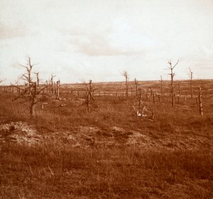 Campo de batalla, Tahure, norte de Francia, c. 1914-c. 1918 de Unbekannt