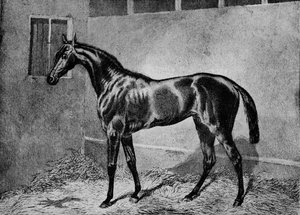 Beadsman, 1855-1872, 1911 de Unbekannt