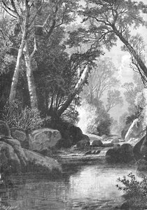 Río Bear, cerca de Bethel, Maine, 1883 de Unbekannt