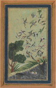Aves en Baran, posiblemente del Babur-nama, finales del siglo XVI