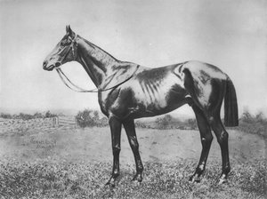 Flecha negra, 1911 de Unbekannt