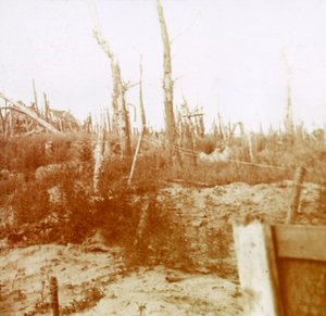 Madera destrozada, Nieuwpoort, Flandes, Bélgica, c1914-c1918 de Unbekannt