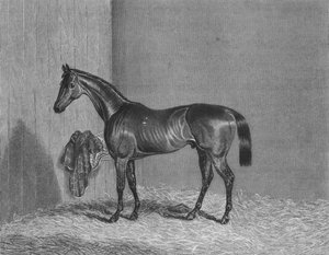 Bloomsbury, 1836-1861, 1911 de Unbekannt