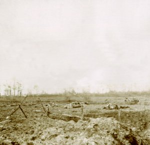 Cuerpos después del ataque, c1914-c1918 de Unbekannt