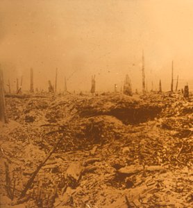 Bois du Chapitre, Vaux, norte de Francia, c1914-c1918 de Unbekannt