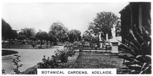 Jardines Botánicos, Adelaida, Australia, 1928
