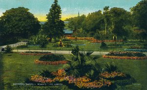 Jardines Botánicos, Regents Park, Londres, c1910 de Unbekannt