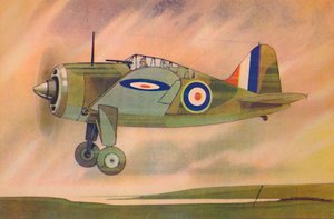 Caza Brewster Buffalo, c1944 de Unbekannt